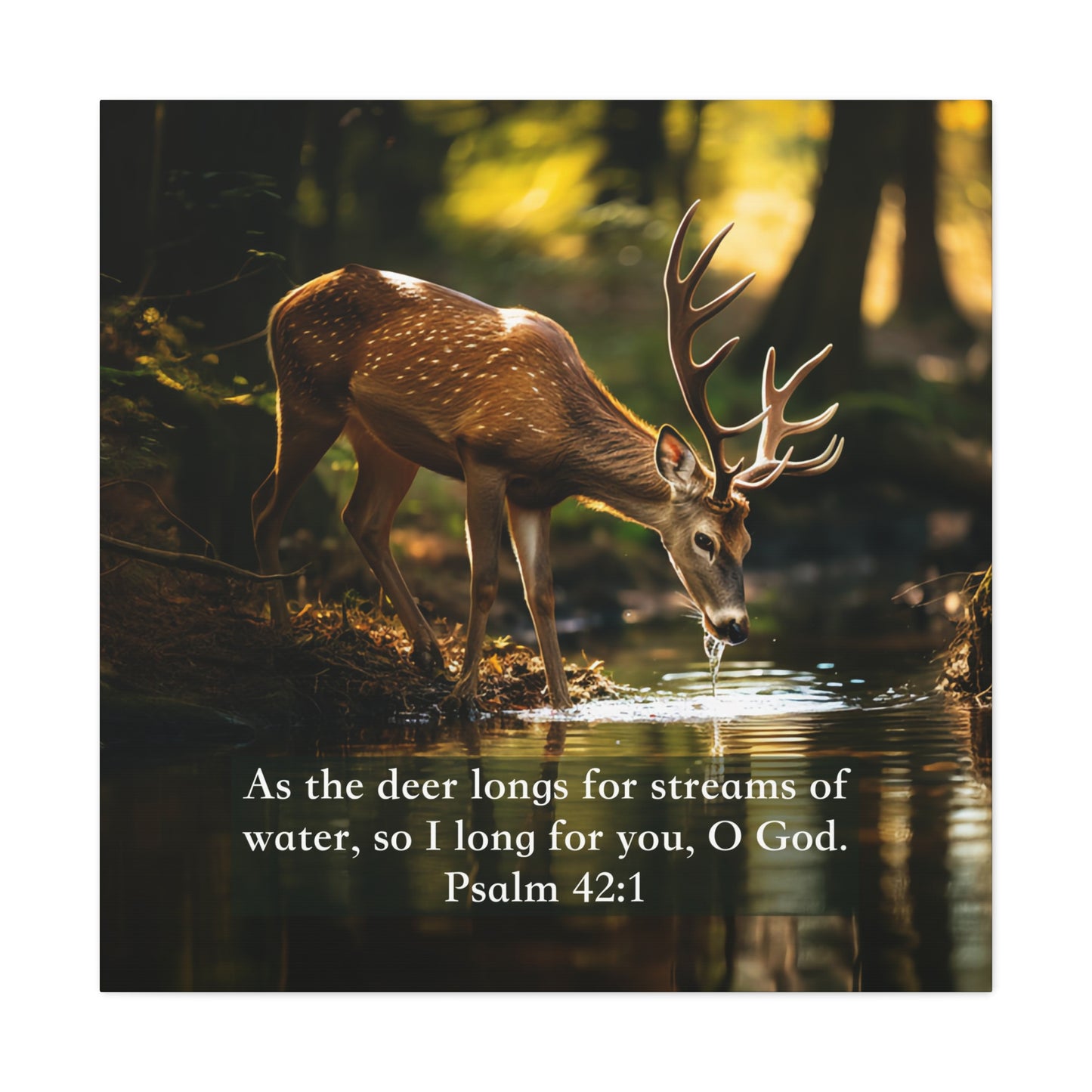 Christian wall art decor, bible canvas art