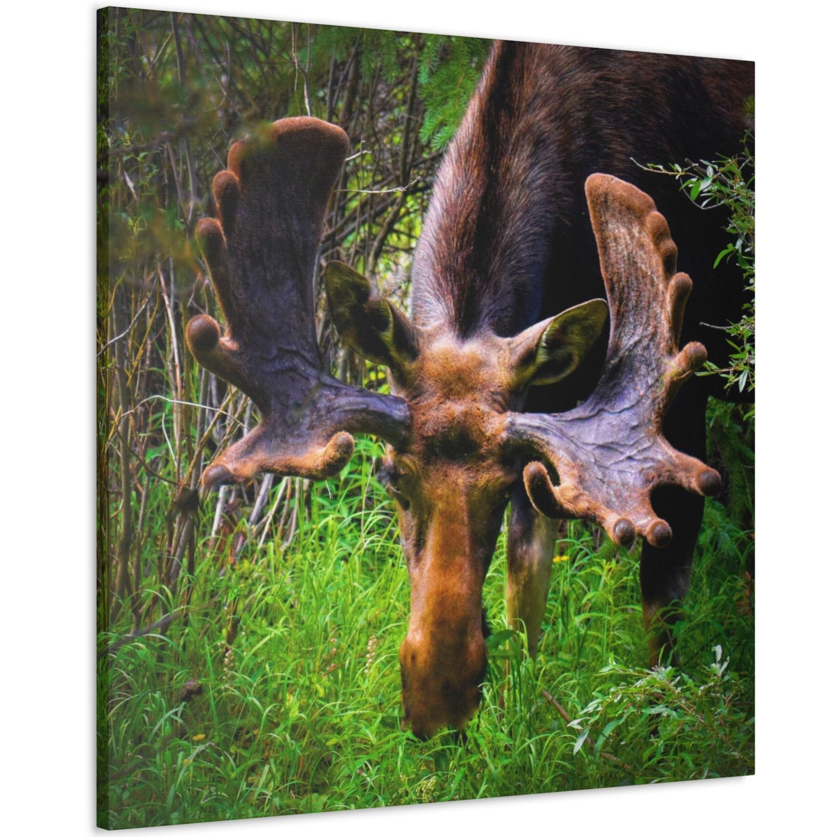 moose wall art