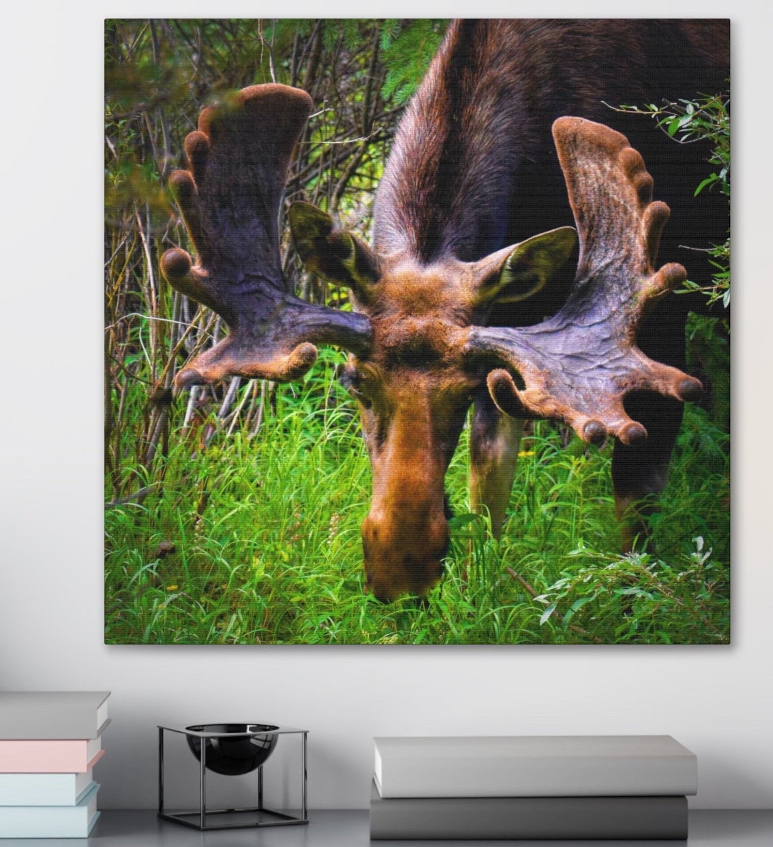 Colorado moose wall decor art