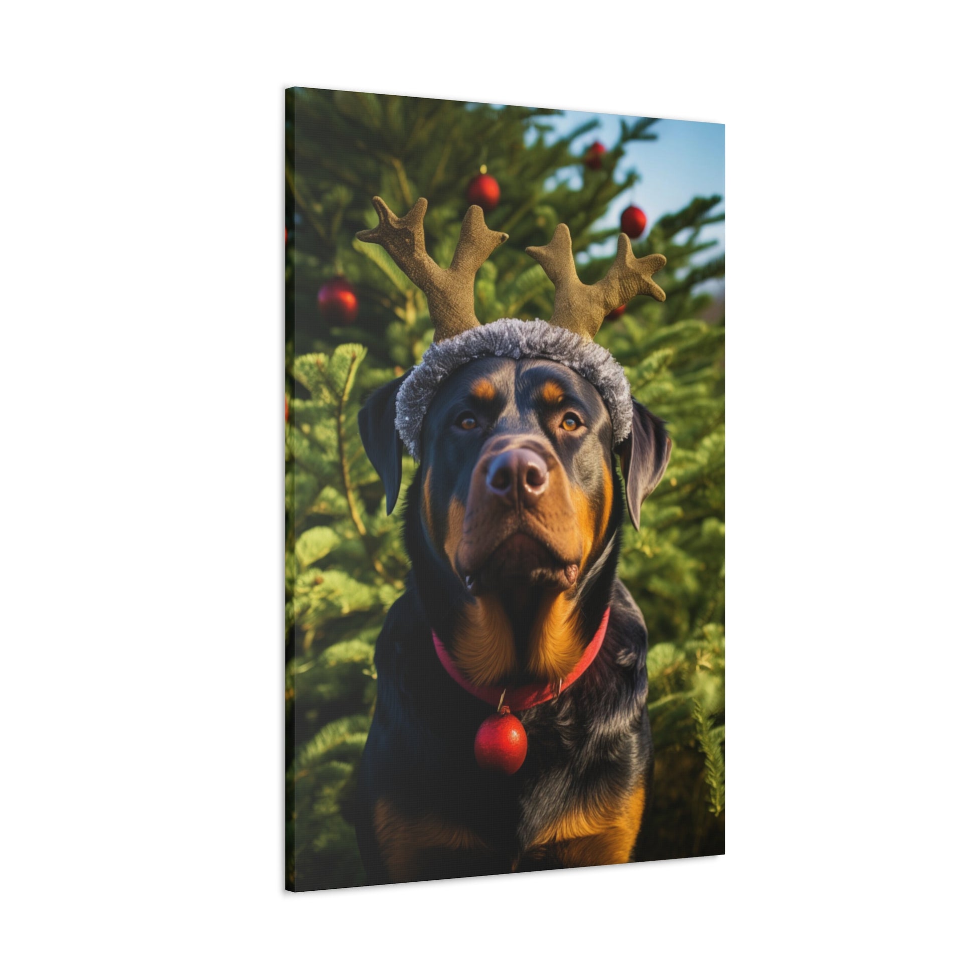 Christmas Rottweiler with reindeer antlers decor ideas