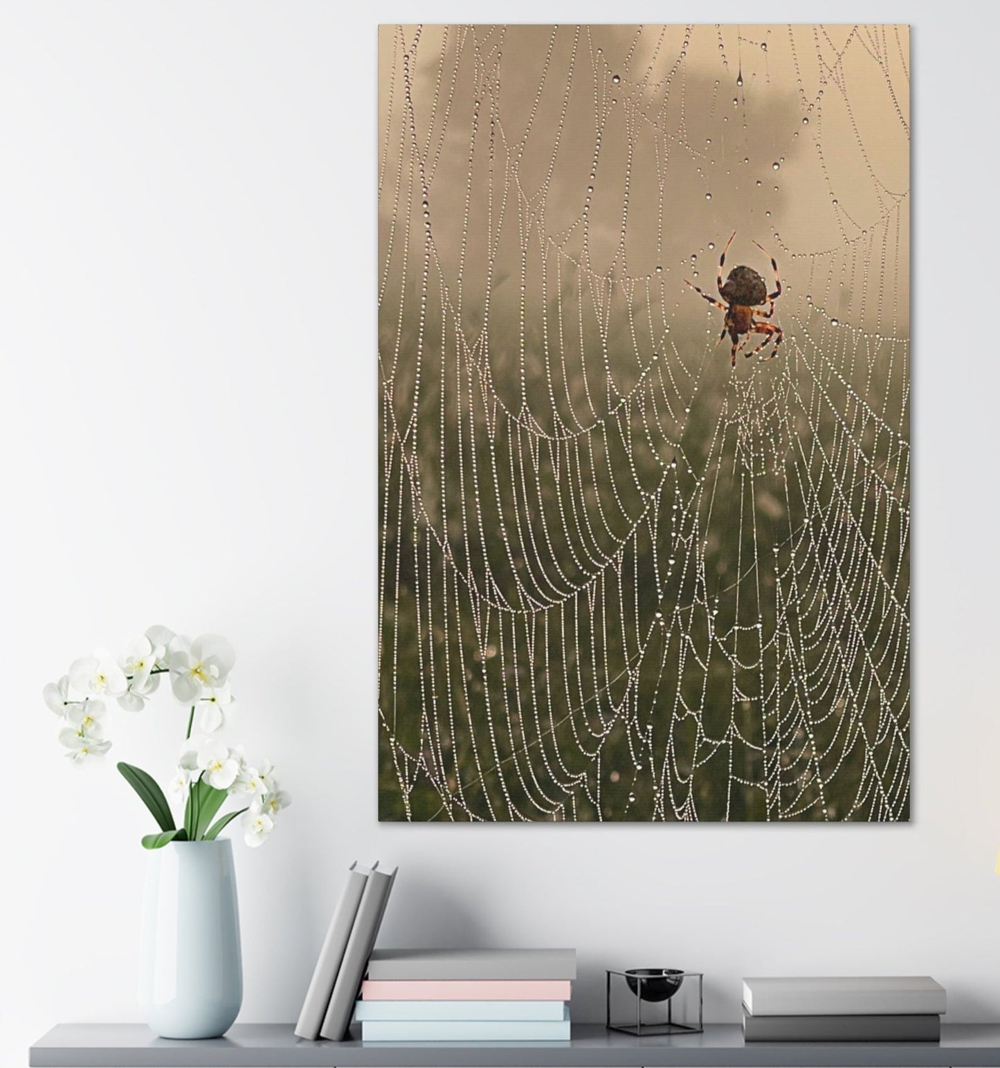 spider canvas print, photo of spider on dew-soaked web