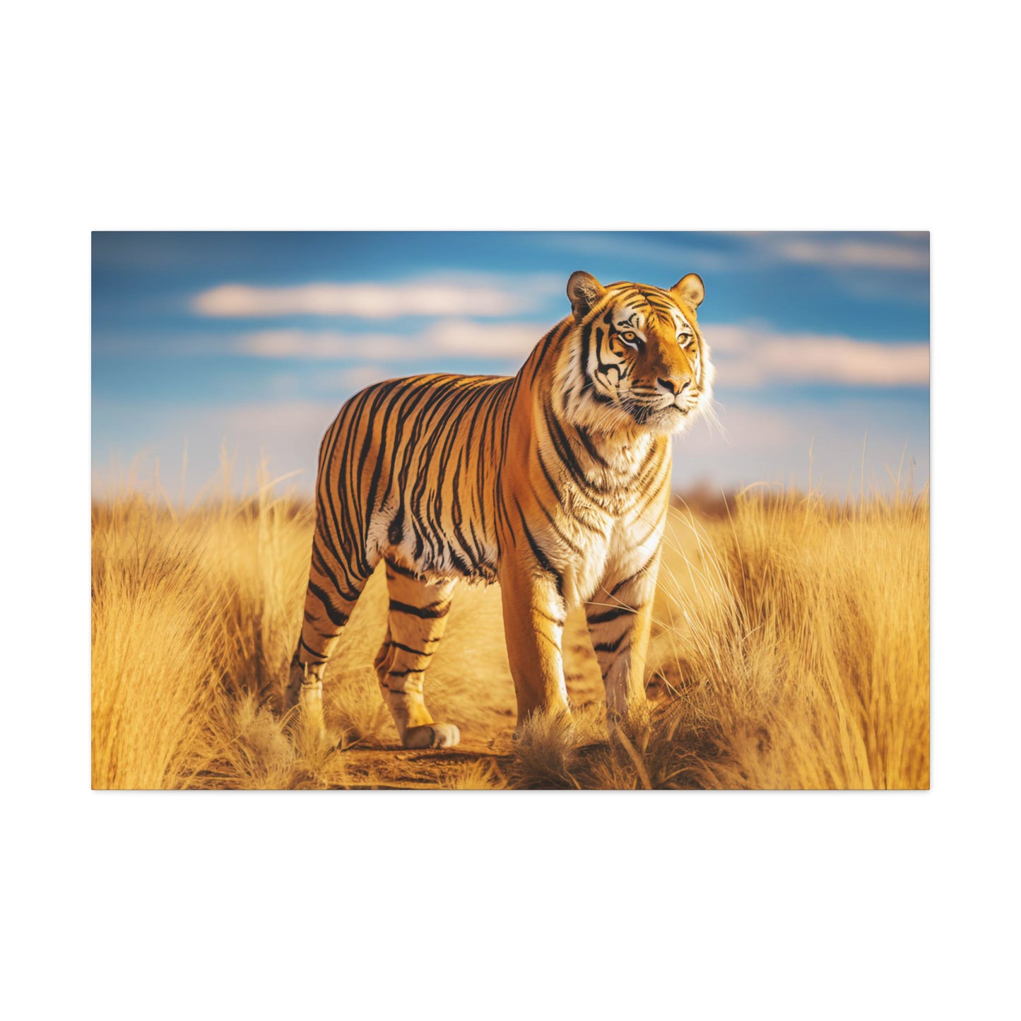 African tiger canvas print