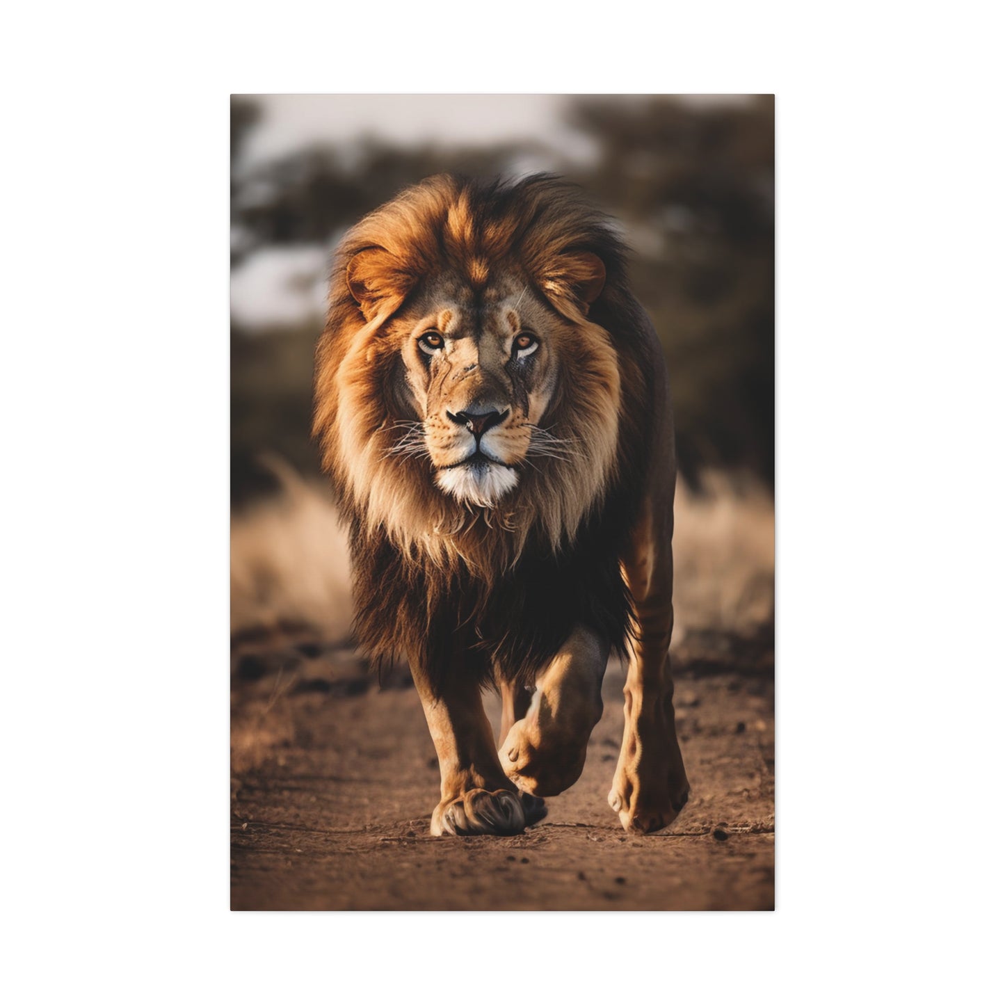 majestic lion canvas print, lion reflection in water canvas print