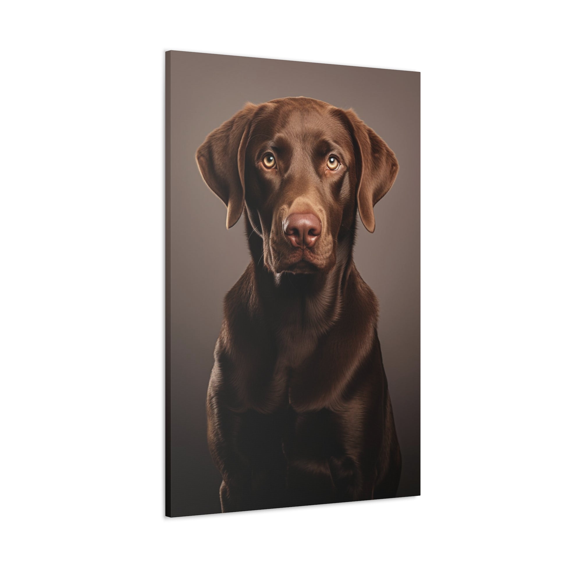 chocolate labradors art decor gifts