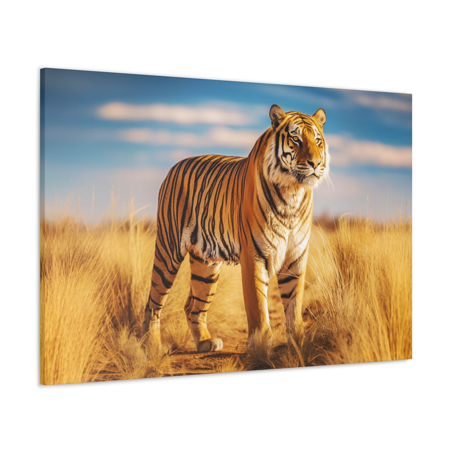 tiger wall decor ideas