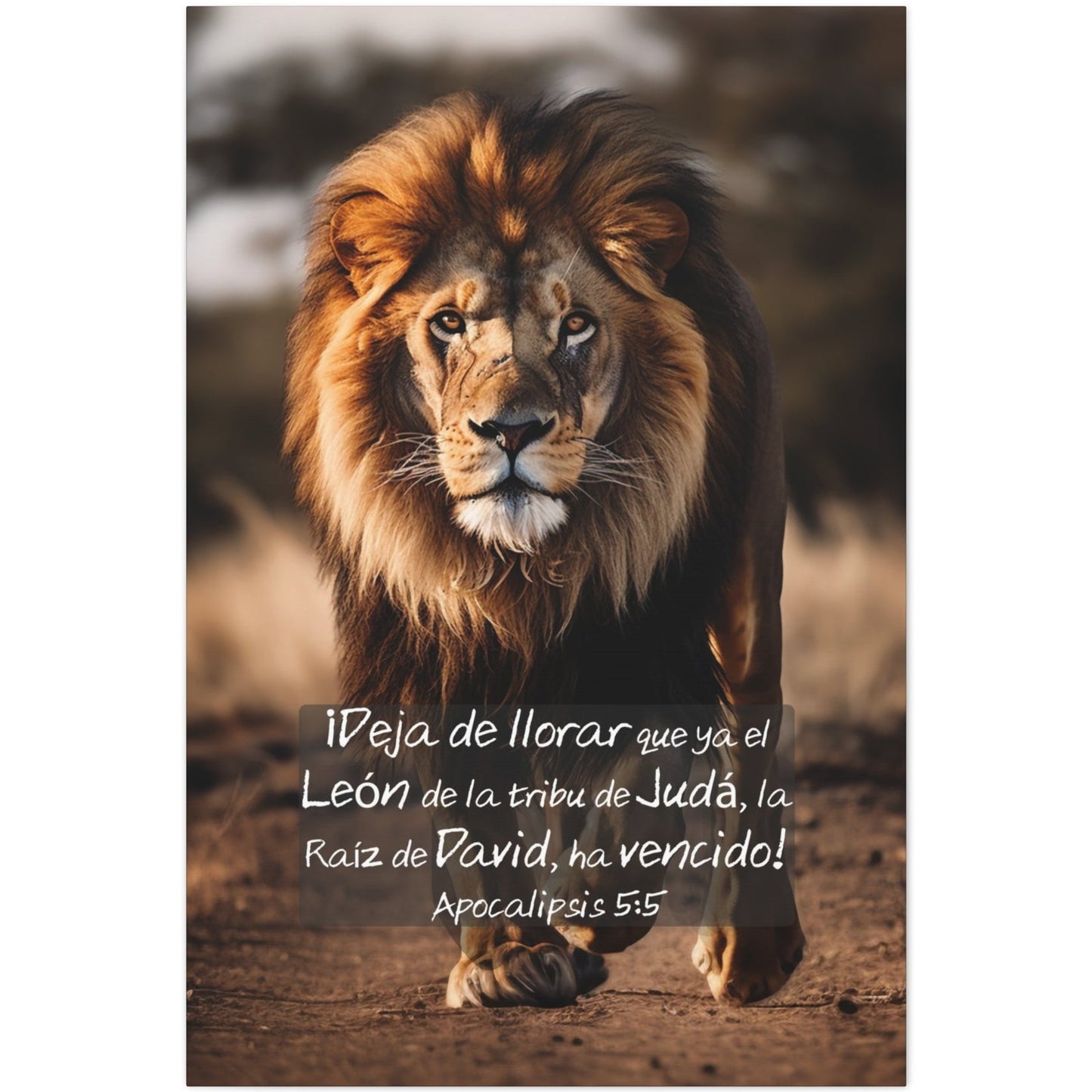 lion of judah bible canvas art in spanish