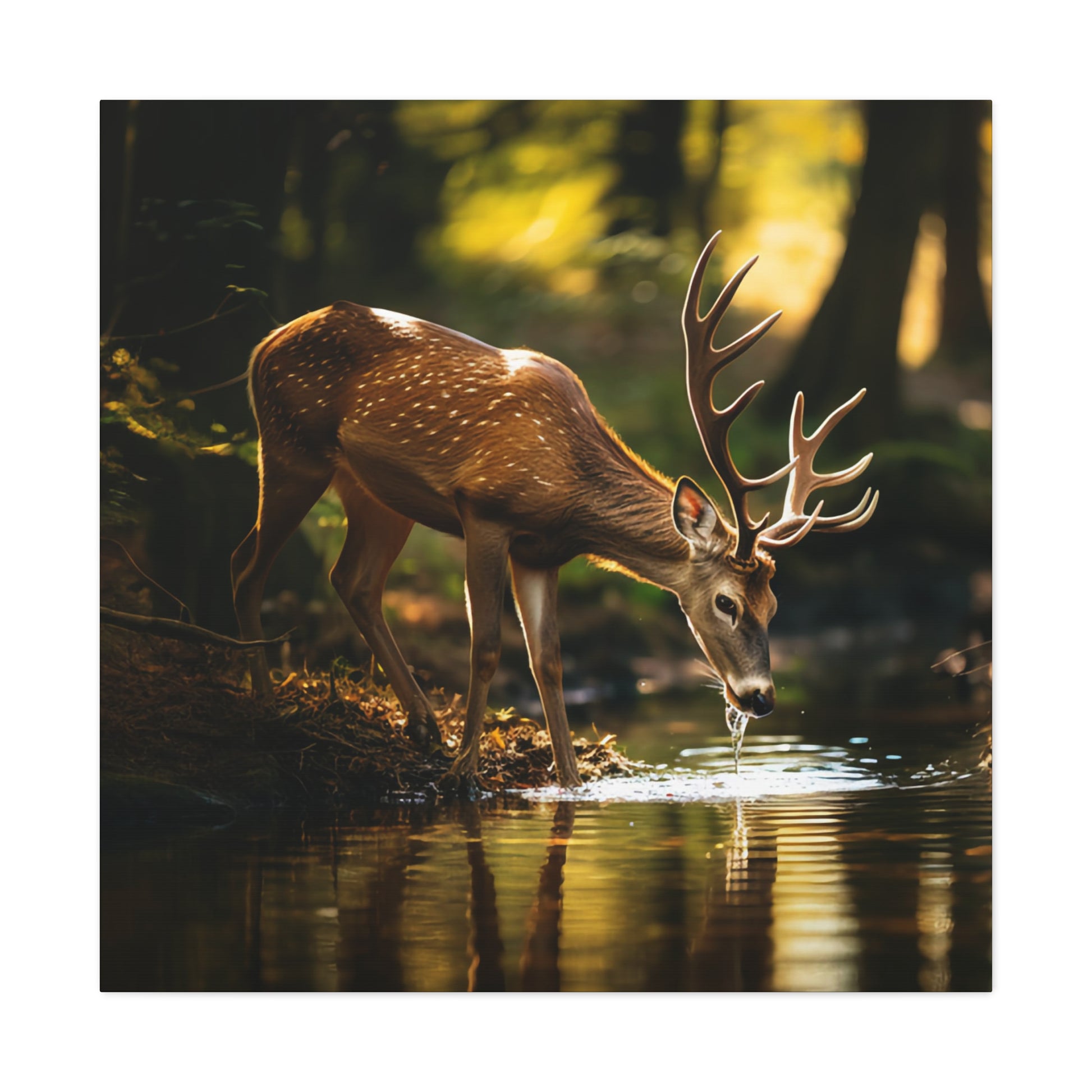 aesthetic wall decor