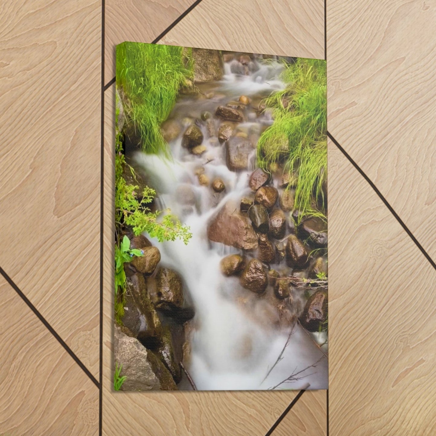 colorado mountain stream canvas art