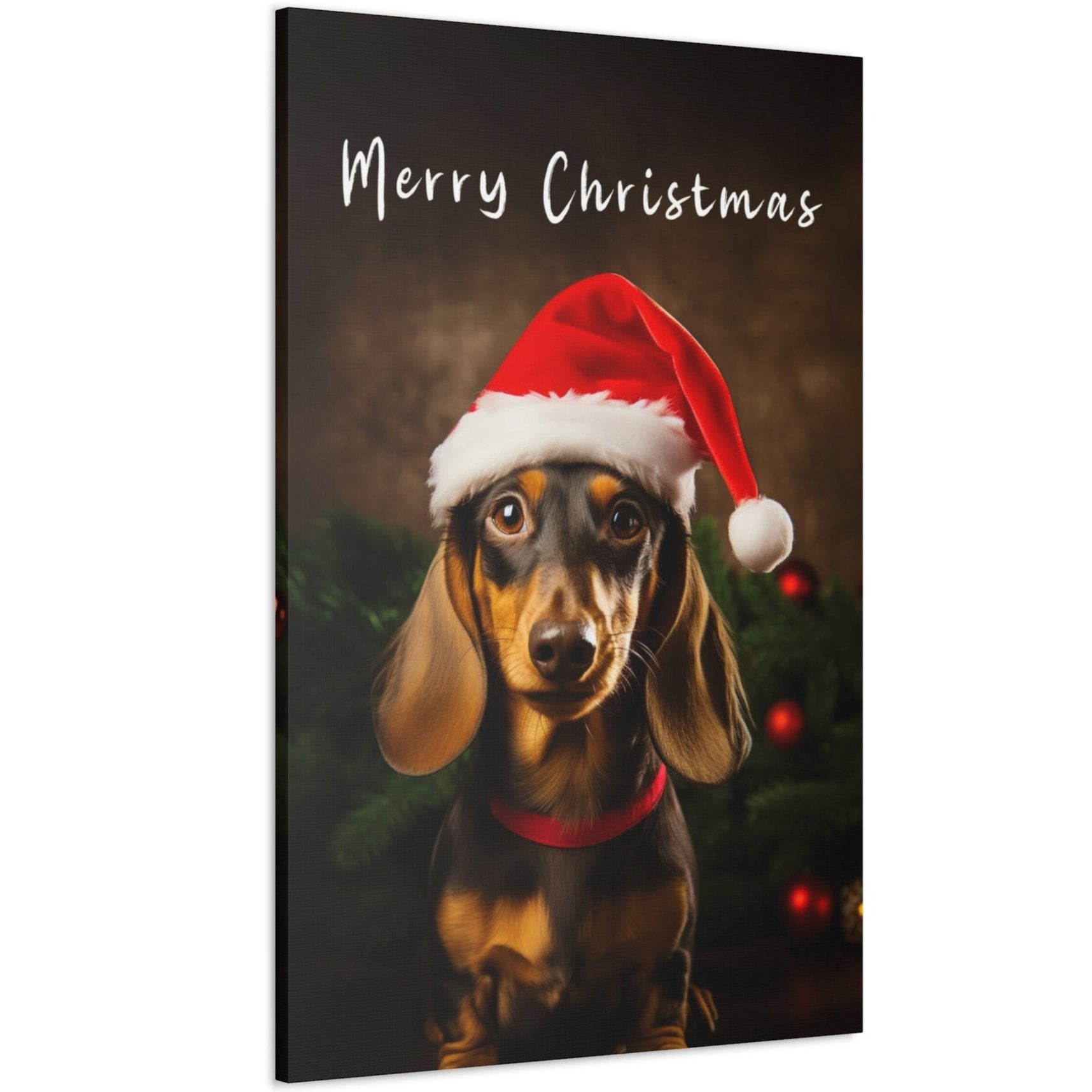 Dachshunds wearing Santa hat canvas print