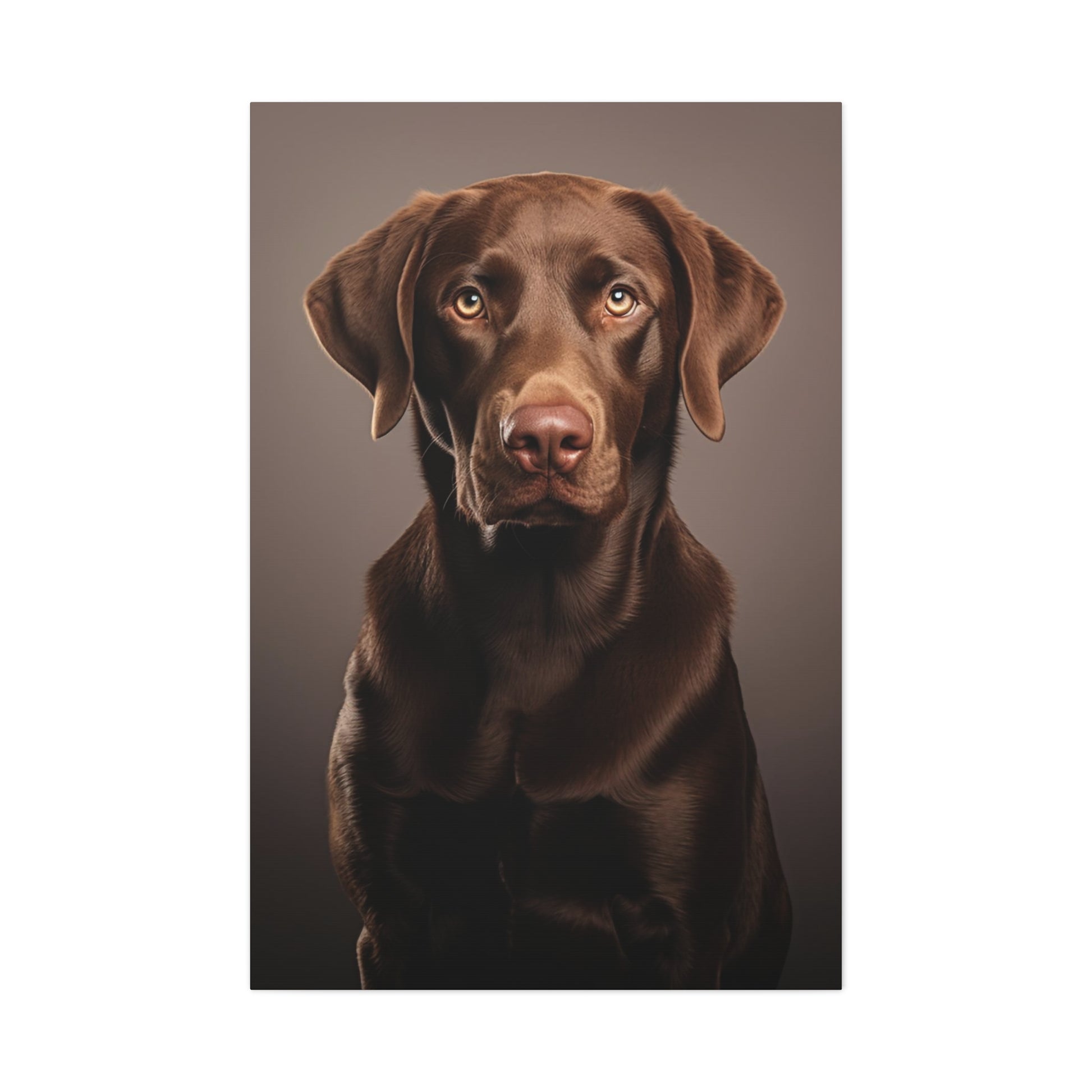 chocolate labrador retriever canvas prints
