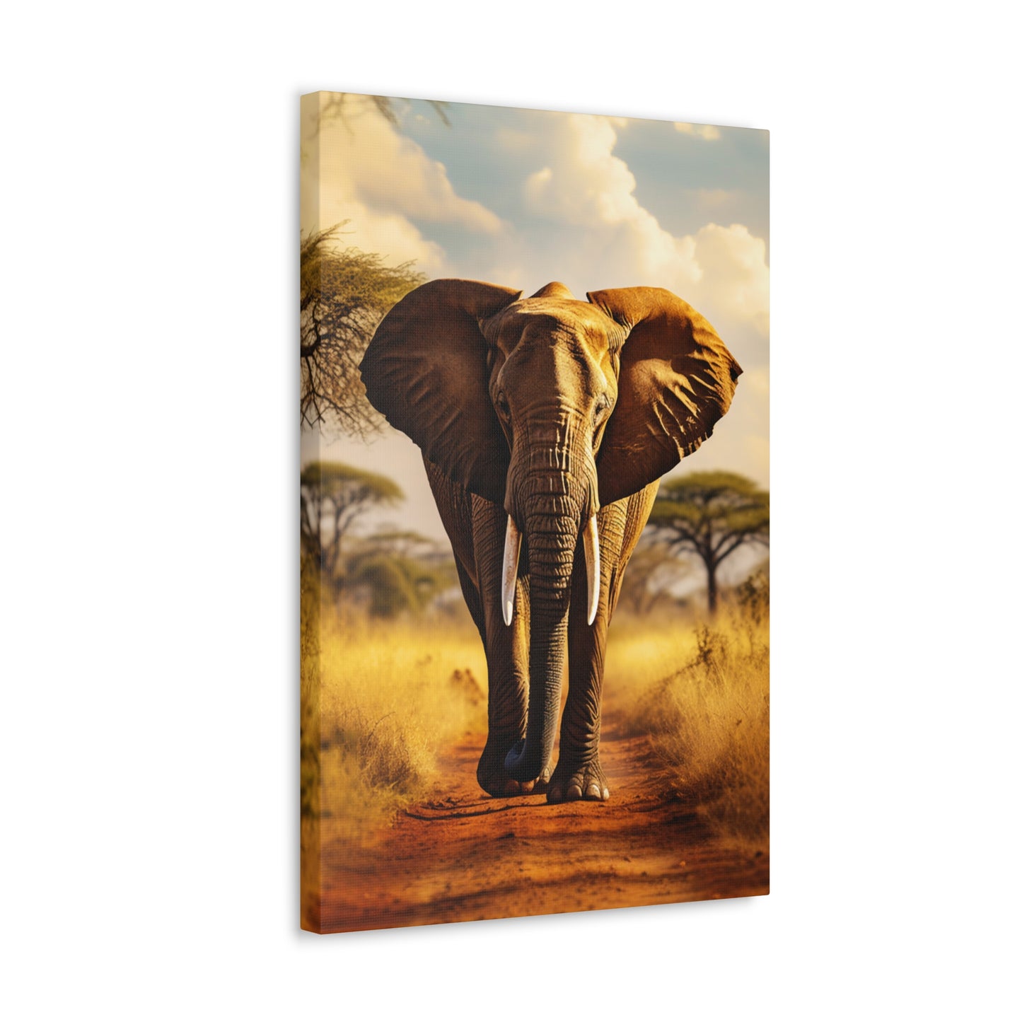 aesthetic elephant wall decor ideas