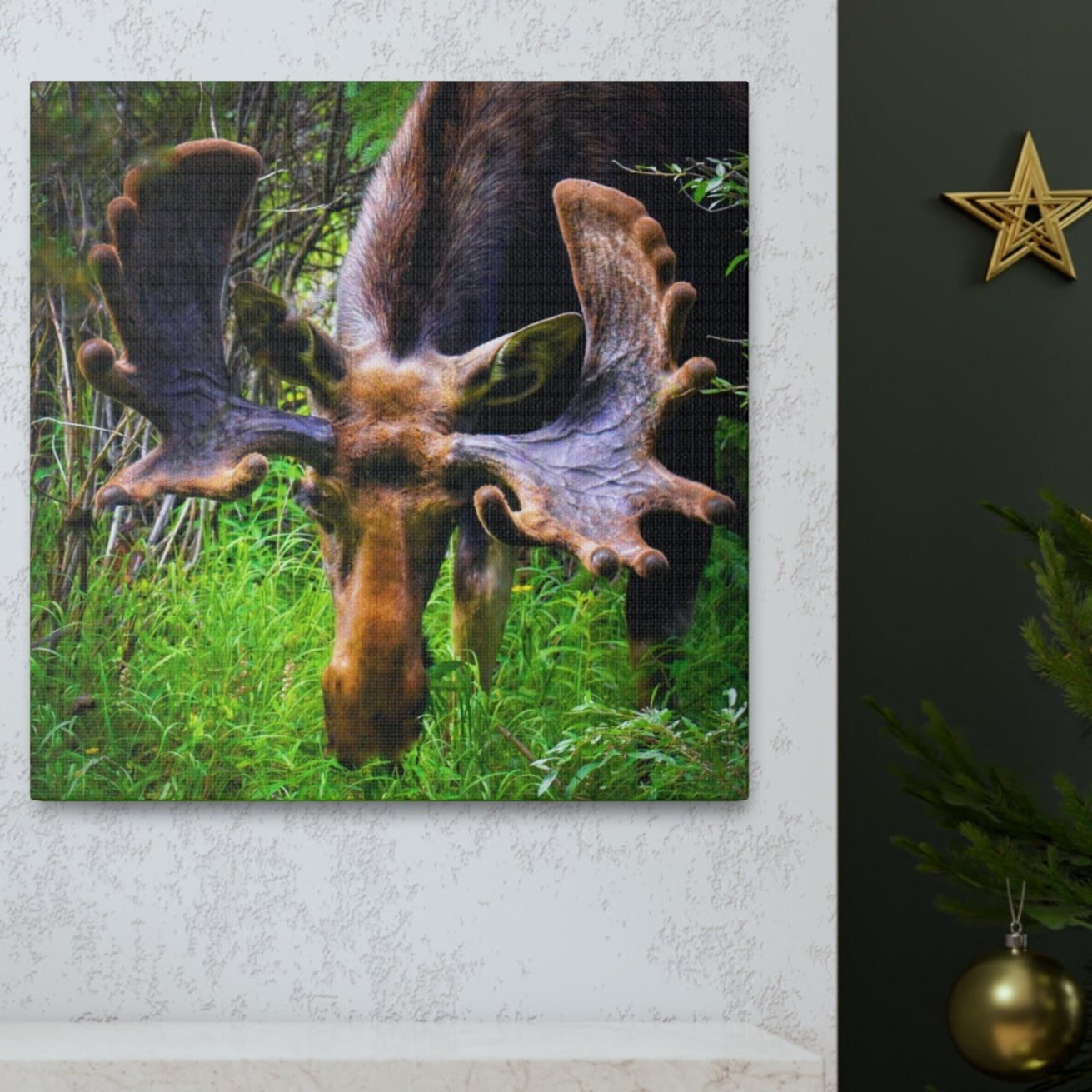 moose stretched canvas print