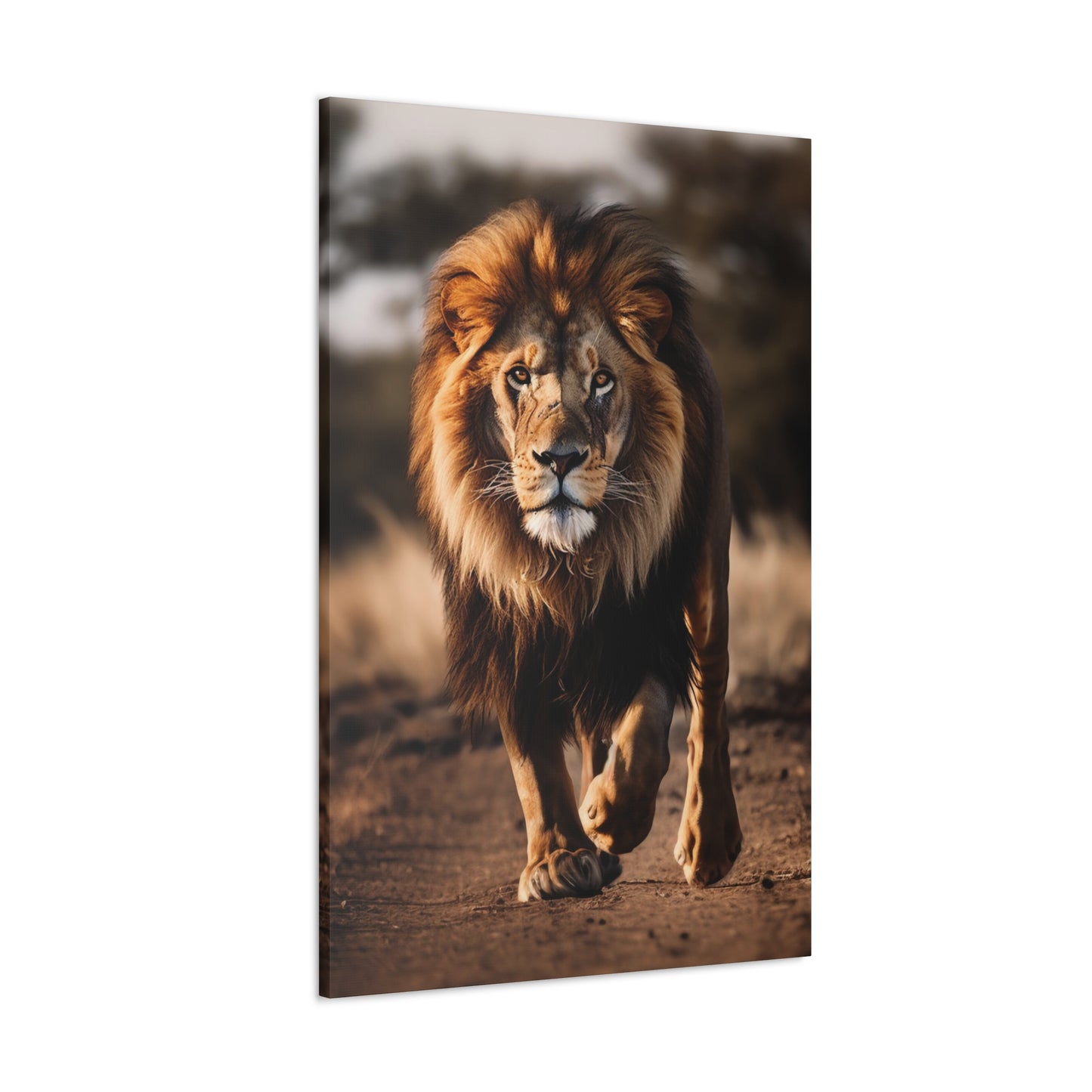 lion wall decor ideas, majestic lion picture wall art