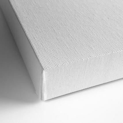 cool santa canvas prints