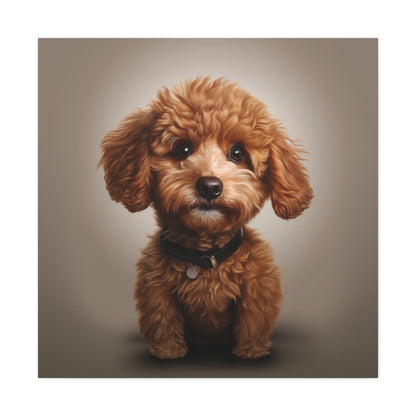 poodle canvas prints