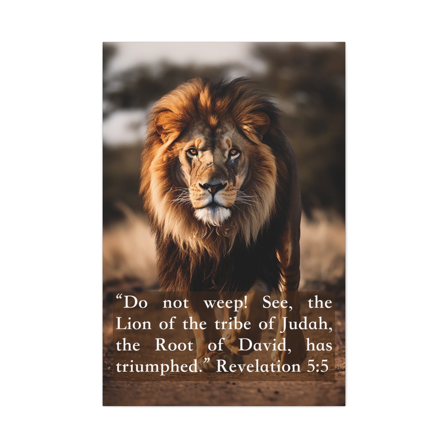 Christian art canvas Lion of Judah, wall decor gifts for Christians