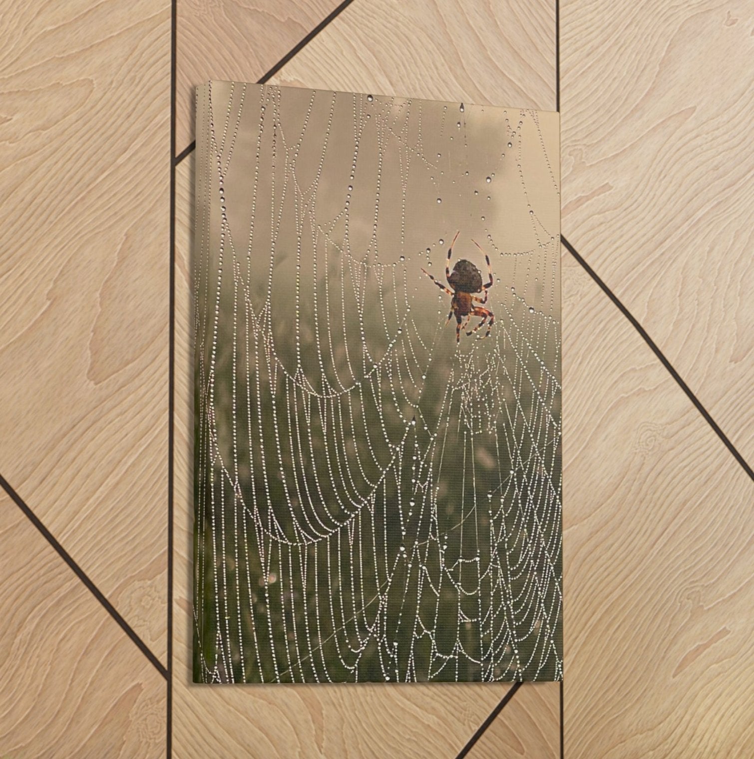 spider stretched canvas print