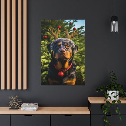 Christmas Rottweilers canvas prints