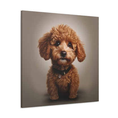 poodles art decor gifts