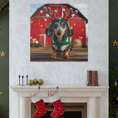 Christmas Dachshund canvas prints