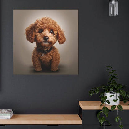 poodles canvas art print