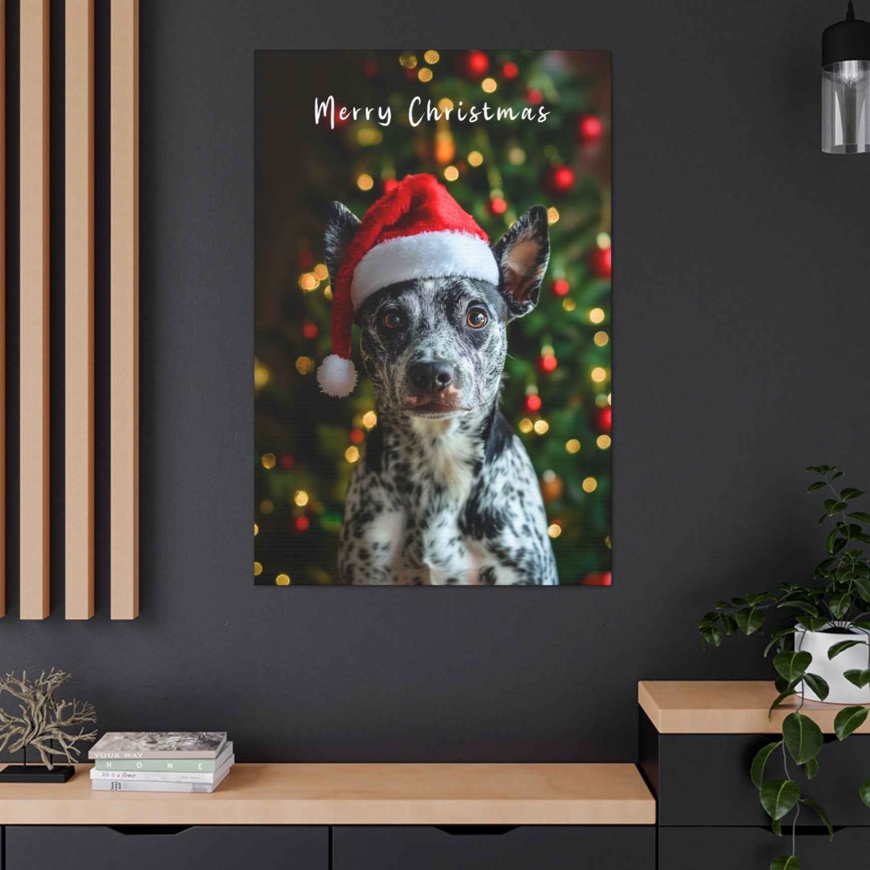 Cute Australian Cattle Dog wearing Santa hat