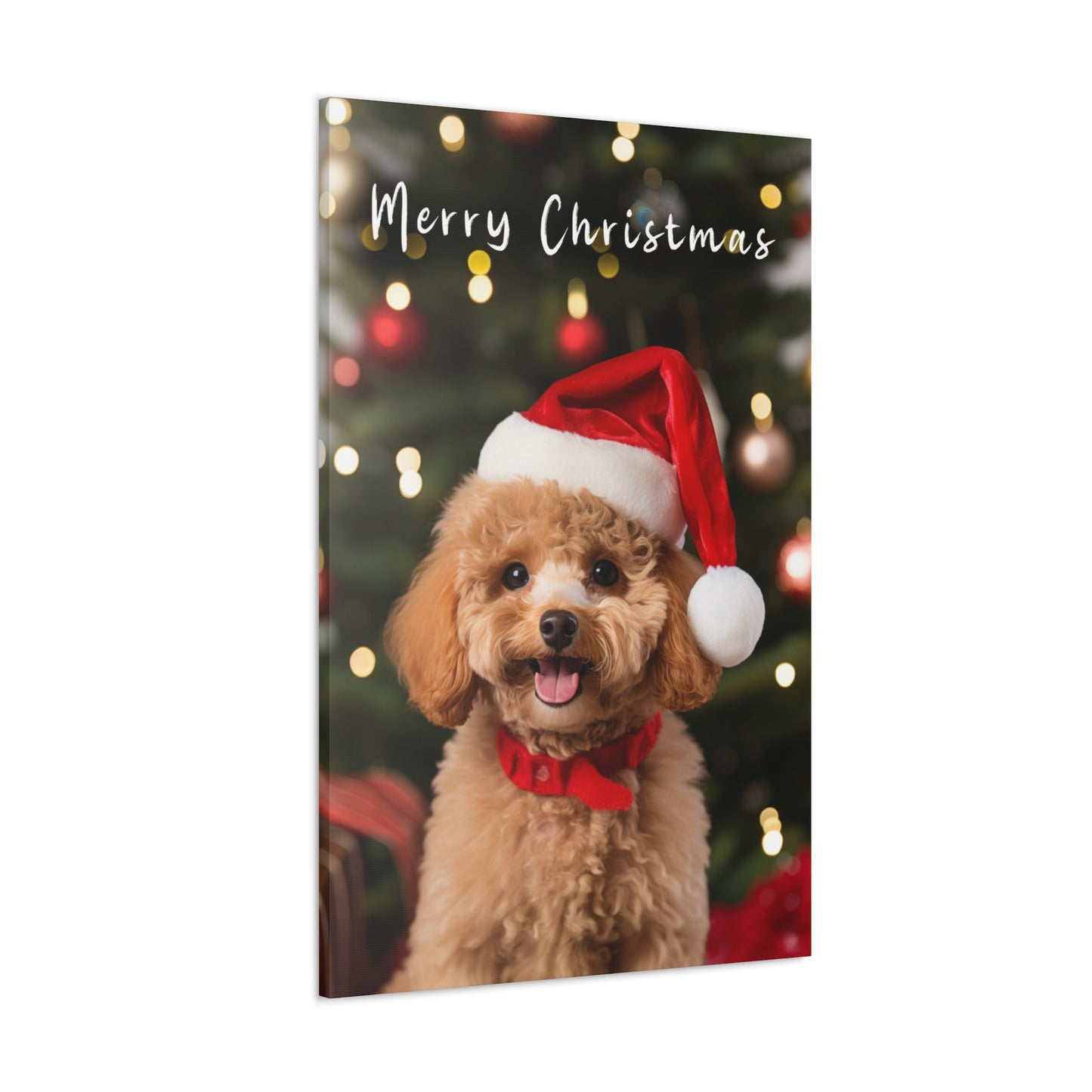 Poodles wearing Santa hat canvas print,
