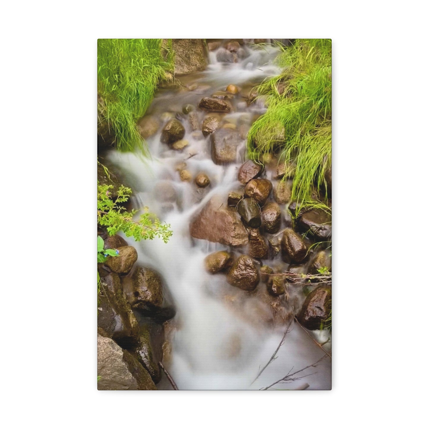 Colorado Rocky Stream Long Exposure - Canvas Prints