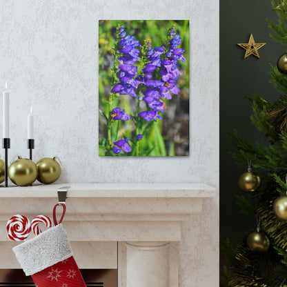 Purple Flowers with Green Background - Canvas Print