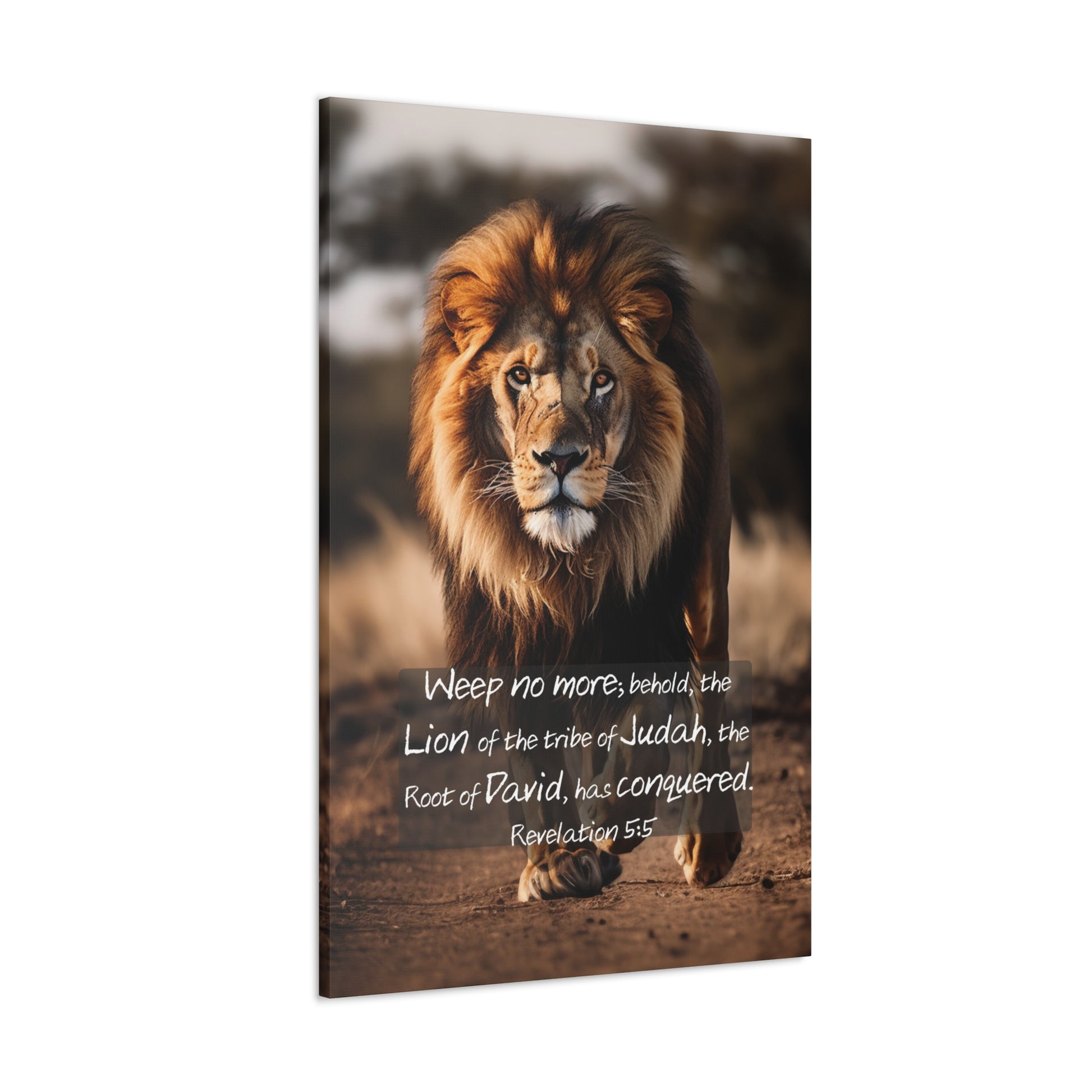 Christian art gifts lion of judah