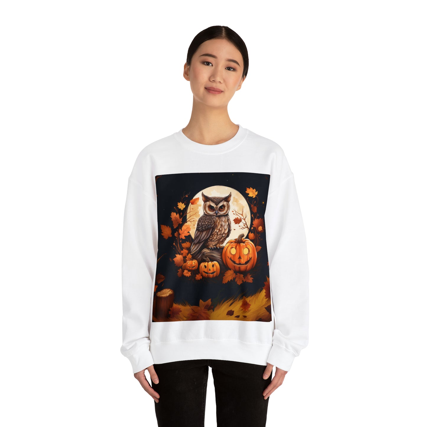 Owl and Pumpkin Halloween Sweatshirt Men's Women's Black Grey White Small Medium Large XL XXL XXL Halloween Sweatshirts