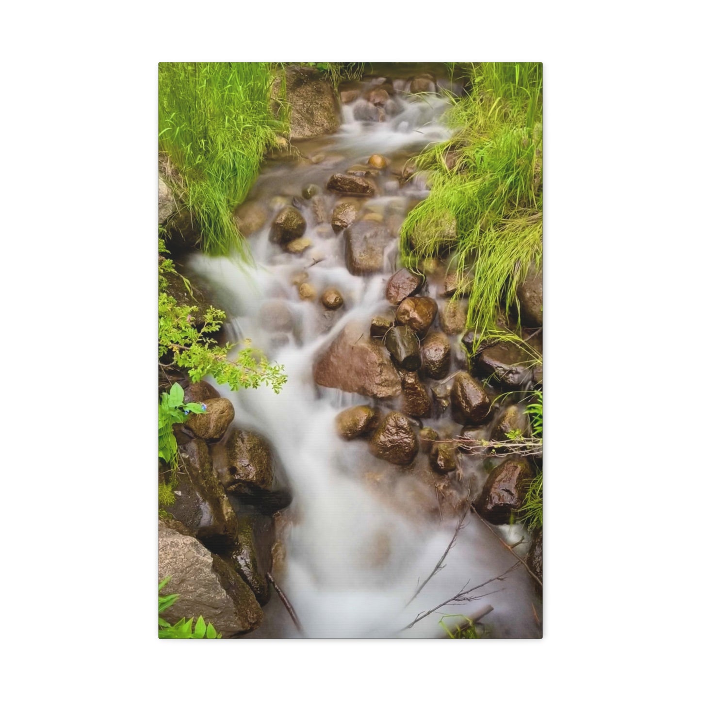 Colorado Rocky Stream Long Exposure - Canvas Prints