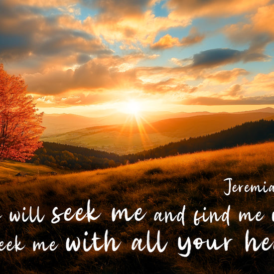 Christian wall hanging jeremiah 29:13