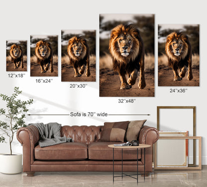 lion wall art decor