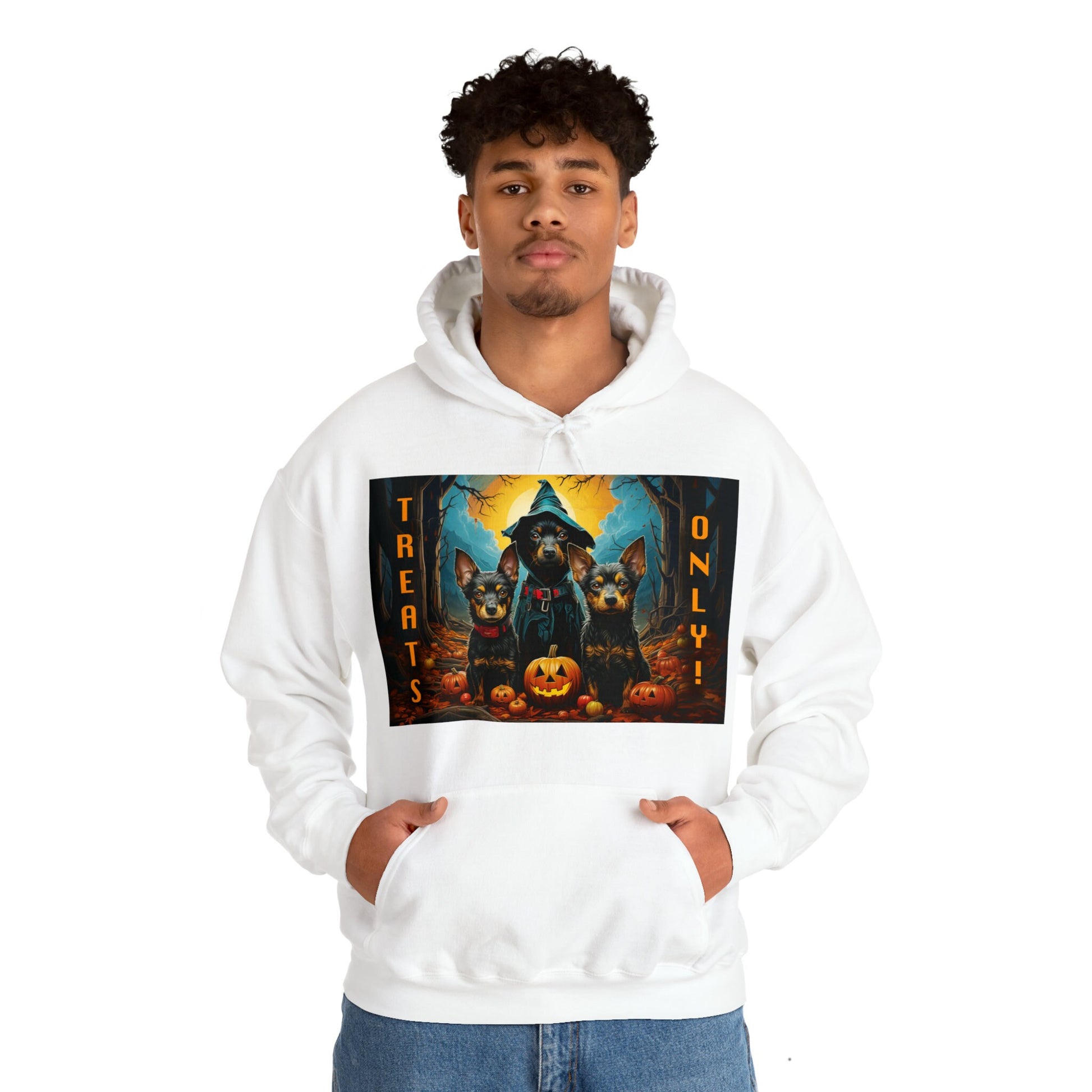 halloween hooded sweatshirts 2X 3X 4X 5X