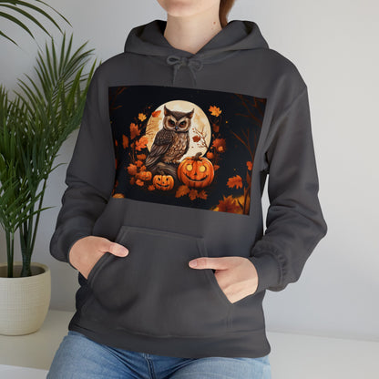 Owl and Pumpkin Halloween Hoodie Men's Women's Black Grey White Small Medium Large XL XXL XXL Halloween Hooded Sweatshirts
